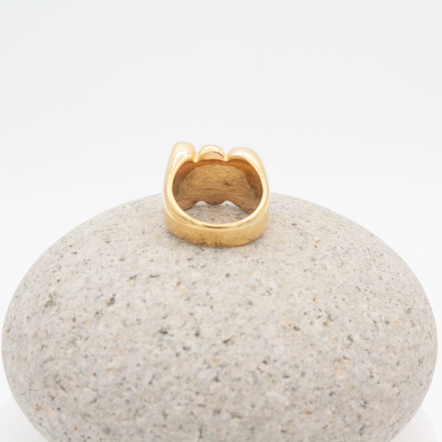 NO KINGS Ring