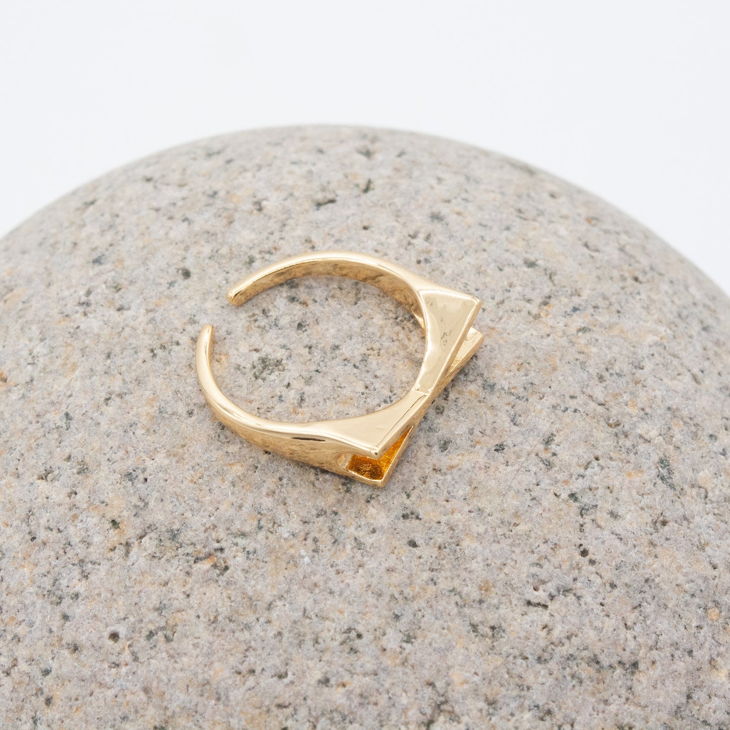 Identity Initial Rings