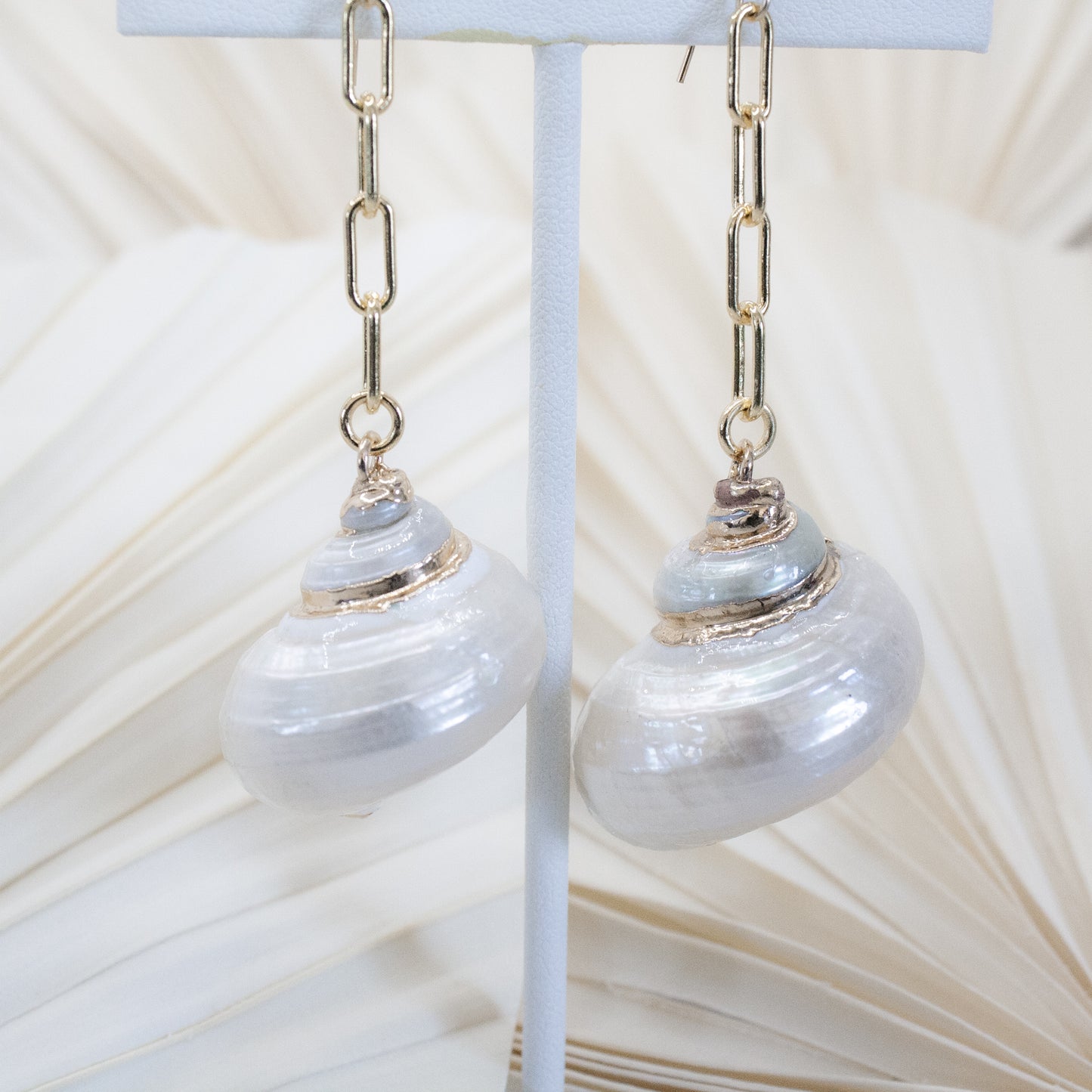 Seashell Earrings :: 14k Gold Filled