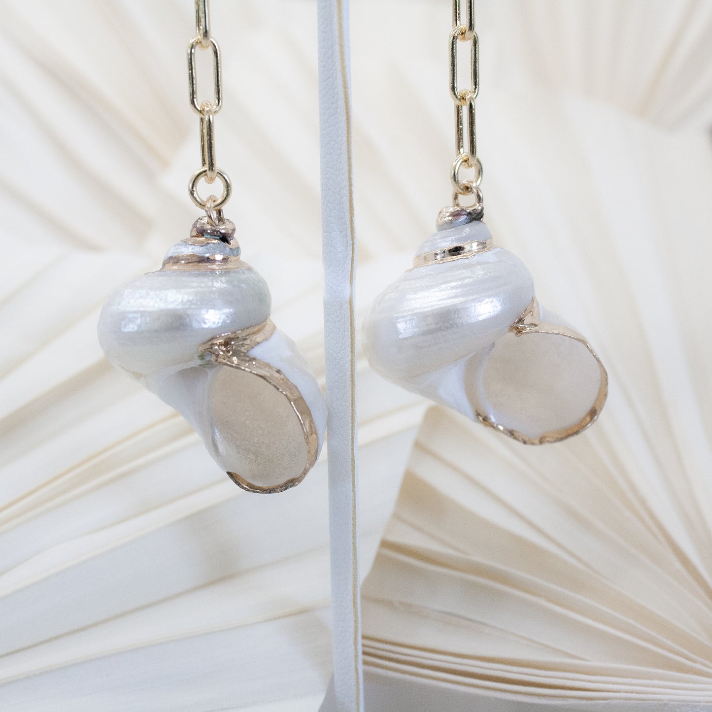 Seashell Earrings :: 14k Gold Filled