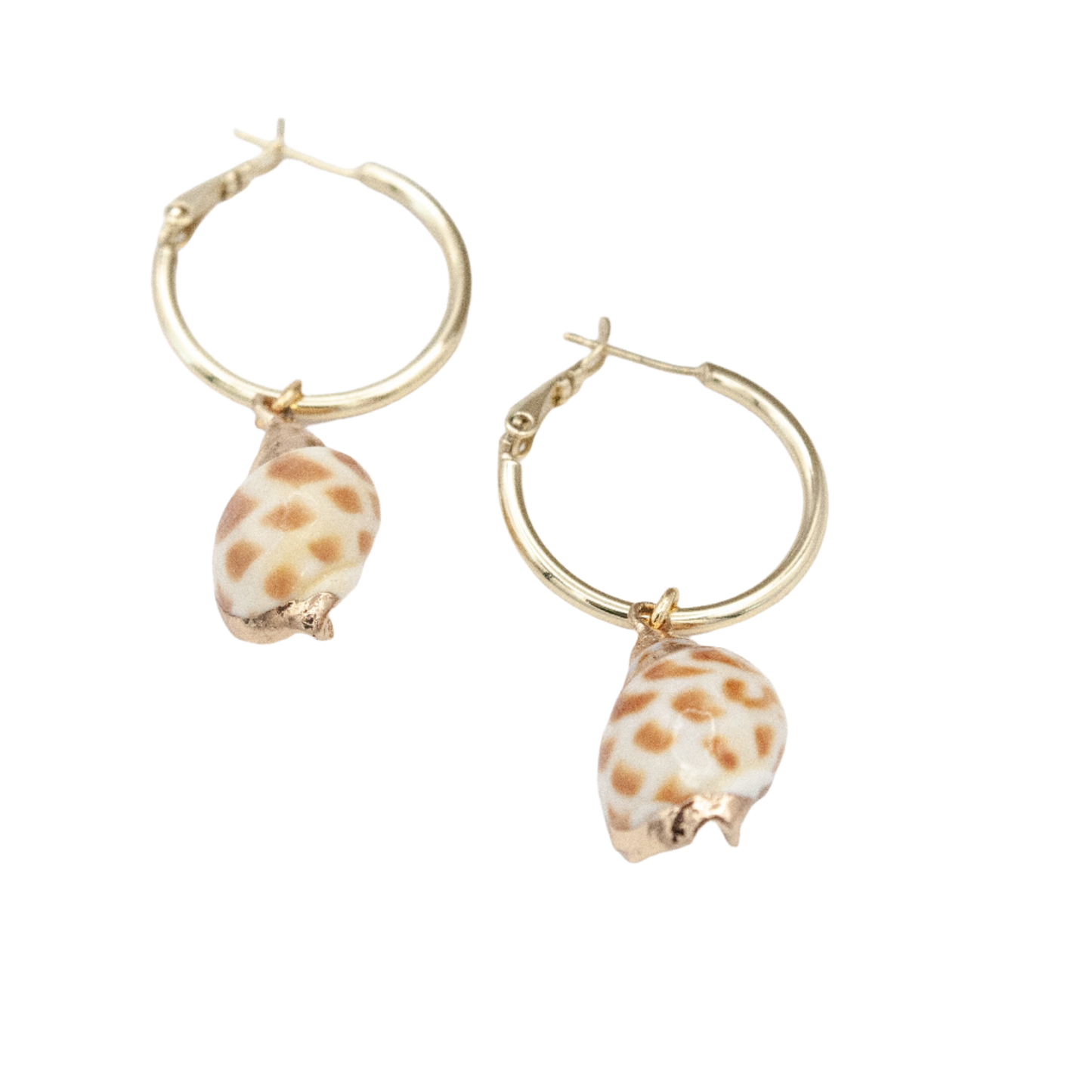 Shelly Hoop Earrings :: 14k Gold Filled