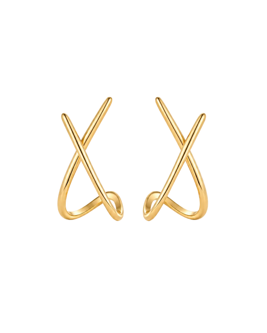 Not Today Earrings :: .925 Sterling Silver
