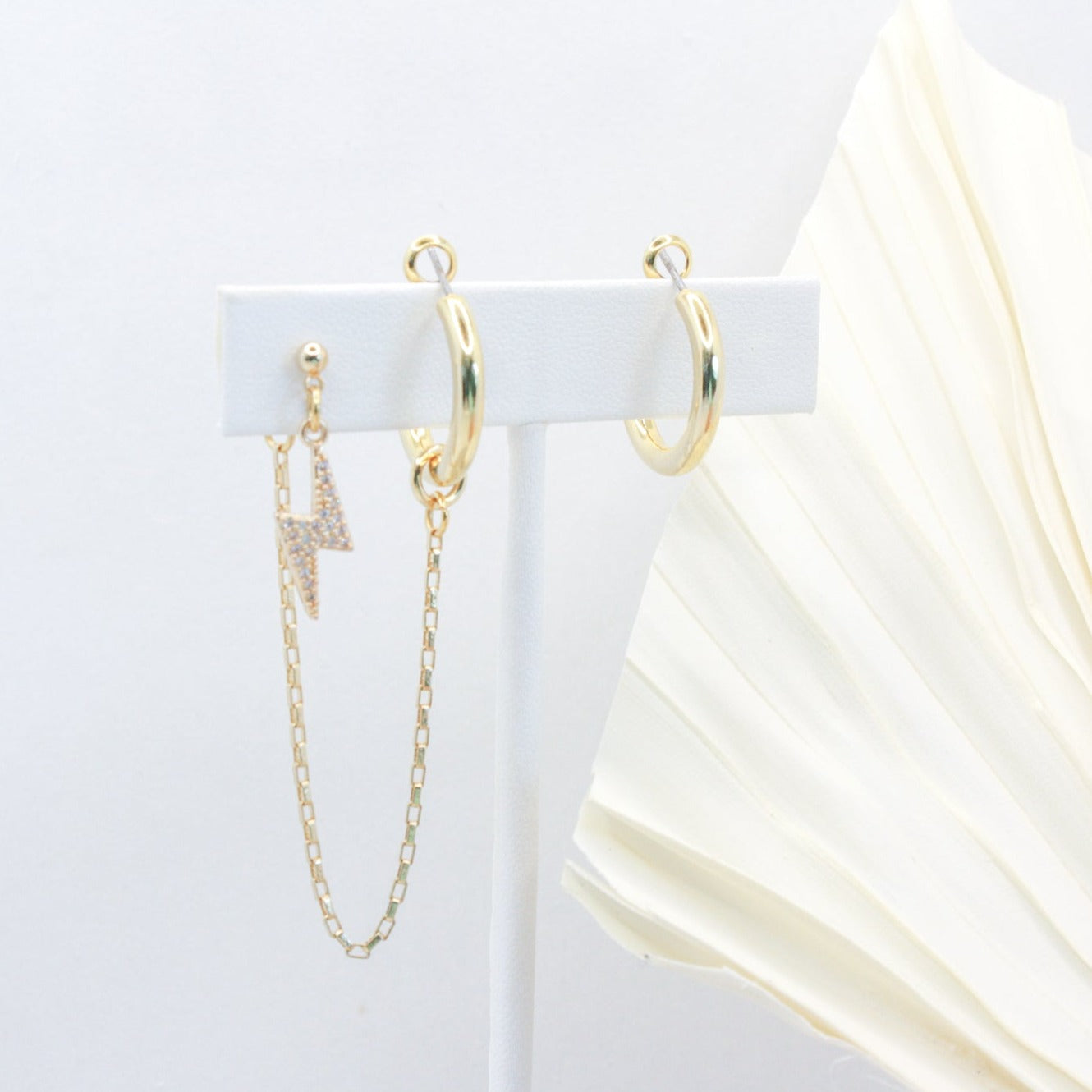 Isolated Case Earrings